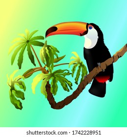 Vector Toucan in the jungle