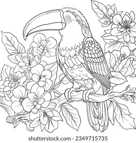 Vector or a toucan with leaves and flowers, outline colouring page design. 