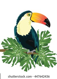 Vector Toucan sitting on tree branch isolated on white background. Tropical birds