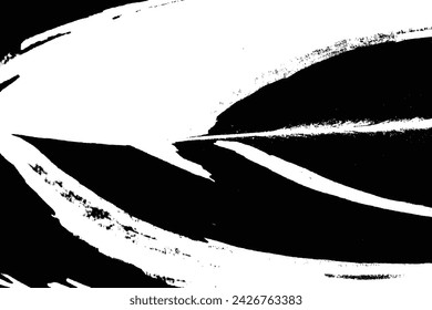 Vector trace of Variegated shell ginger leaf pattern ferns. Texture of tropical species plant. Black and white tropical flora. Exotic plant trace texture.