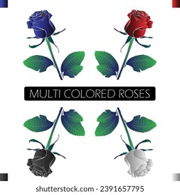 Vector Traced Rose Flower in 4 Colour Variations