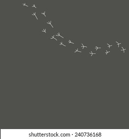 Vector traces bird pattern (Can be used as texture for cards, invitations, DIY projects, web sites or for any other design) 