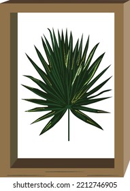 traquicarpus vectorial en el marco de imagen