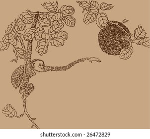 Vector of Traditional Chinese Stroke painting from Ming Dynasty