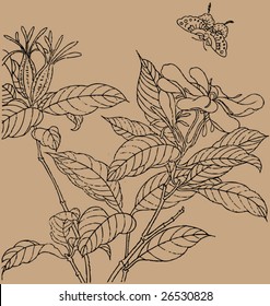 Vector of Traditional Chinese Stroke painting from Ming Dynasty