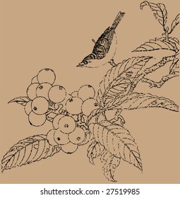 Vector of Traditional Chinese Stroke painting from Ming Dynasty