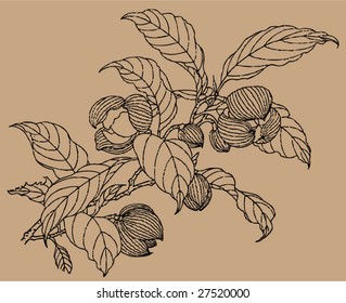Vector of Traditional Chinese Stroke painting from Ming Dynasty