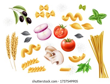 Vector traditional italian pasta types and ingredients for restaurant menu, natural products set. Conchiglie rigate, rigatoni, cavatappi farfalle spaghetti basil leaves, tomato champignon onion olive