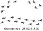 Vector trail print of bird isolated on white background. Penguin tracks.  Footprint silhouette tracks of Penguin. Paw Print. Vector illustration. EPS10.