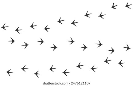 Vector trail print of bird isolated on white background. Chicken tracks.  Footprint silhouette tracks of Hen. Paw Print. Vector illustration. EPS10.
