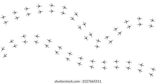 Vector trail print of bird isolated on white background.  Footprint silhouette tracks of sparrow. Paw Print. Vector illustration. EPS10.