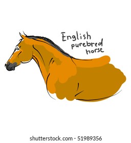 vector trakehner horse