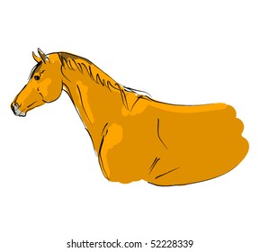 vector trakehner horse