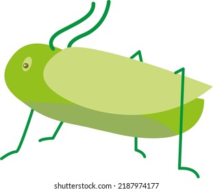 Vector with transparent background, of a green cricket. Nice little cricket. green cicada. Insects or Arthropods.