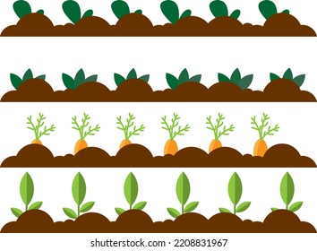 Vector with transparent background, of planting different crops. Planting vegetables, cabbage, carrot, lettuce and others. Organic agriculture.