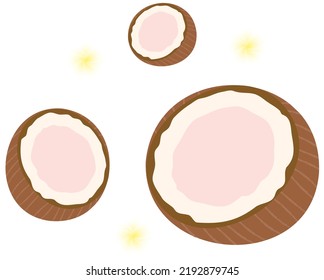 Vector with transparent background, of three coconuts with flowers. Coconut tree, water and coconut mass. Tropical flowers. Refreshing coconut drink.