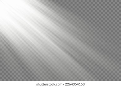 Vector transparent light, sun rays