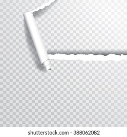 vector transparent ripped corner of paper, layered and editable