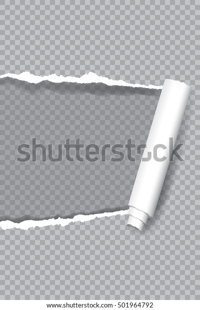 vector\
transparent ripped paper, layered and\
editable