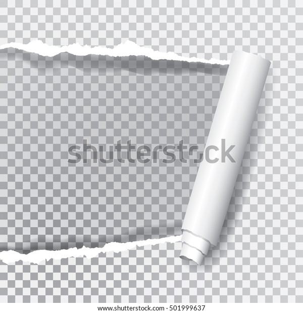 vector transparent ripped paper, layered\
and editable, background for your image or\
photo