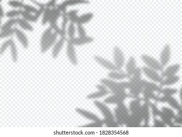 Vector Transparent Shadow Branch Leaves  Decorative Design Element for Presentations   Mockups  Creative Overlay Effect Tree Shadow