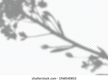 Vector Transparent Shadow of Flower Branch. Creative Overlay Effect with Plant Leaves. Decorative Design Element for Banners and Mockups. 