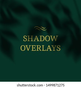 	
Vector Transparent Shadows of Leaves. Decorative Design Element for Collage and Mock Up. Creative Overlay Effect for Mockups