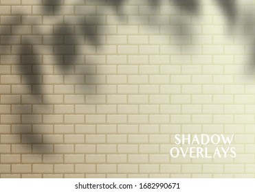 Vector Transparent Shadows of Leaves on the Brick Wall. Decorative Design Elements for Collages. Creative Overlay Effect for Mockups