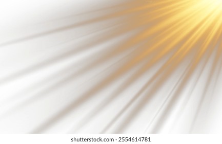 Vector transparent sunlight with lens flare effect. Overlays, overlay, light, Sun, sunrays, overlays, light transitions, lens flare, light leaks and glare in PNG format. PNG sunlight flare light effec