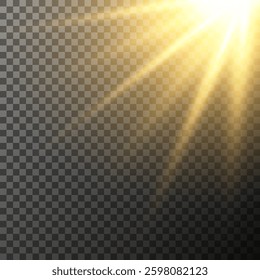Vector transparent sunlight, special flash light effect. Glow light effect, bright sun or spotlight beams.