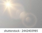 Vector transparent sunlight special lens flare light effect. Sun flash	