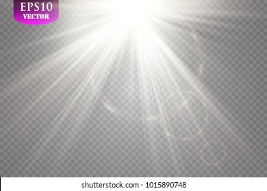 Vector transparent sunlight special lens flare light effect.