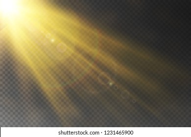 Vector Transparent Sunlight Special Lens Flare Light Effect.