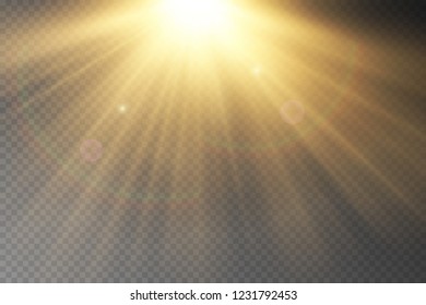 Vector transparent sunlight special lens flare light effect.