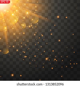 Vector transparent sunlight special lens flare light effect. Sun flash with rays and spotlight
