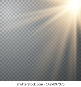 Vector transparent sunlight special lens flash light effect. Vector blur in the light of radiance.Sun 