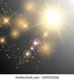 Vector transparent sunlight special lens flare light effect.