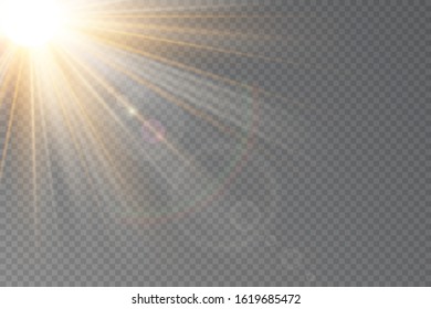 Vector transparent sunlight special lens flare light effect.