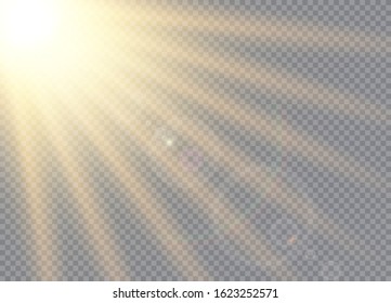 Vector transparent sunlight special lens flare light effect.