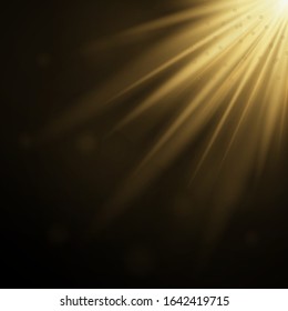 Vector transparent sunlight special lens flash light effect.front sun lens flash. Vector blur in the light of radiance. Element of decor. Horizontal stellar rays and searchlight.