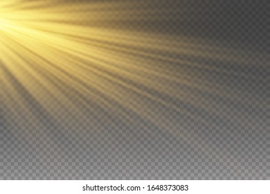 Vector transparent sunlight special lens flare light effect.