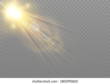 Vector transparent sunlight special lens flare light effect.