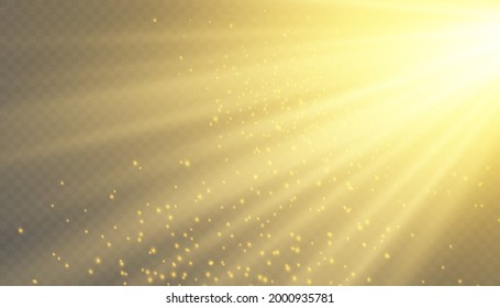 Vector transparent sunlight special lens flash light effect.front sun lens flash. Vector blur in the light of radiance. Element of decor.