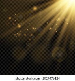 Vector transparent sunlight special lens flash light effect.front sun lens flash. Vector blur in the light of radiance. Element of decor.