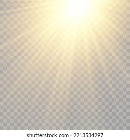 	
Vector transparent sunlight special lens flare light effect. Bright beautiful star. Light from the rays.	