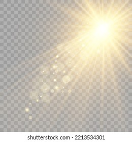 	
Vector transparent sunlight special lens flare light effect. Bright beautiful star. Light from the rays.	