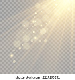 Vector transparent sunlight special lens flare light effect. Bright beautiful star. Light from the rays.	