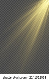 Vector transparent sunlight special lens flash light effect.front sun lens flash. Vector blur in the light of radiance. Element of decor. Horizontal stellar rays and searchlight.