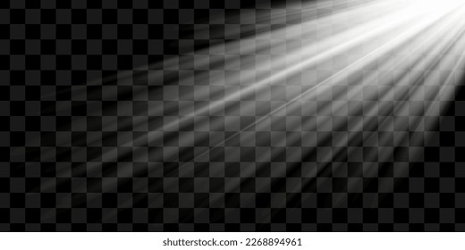 Efecto de la luz solar especial de la lente del vector transparente.