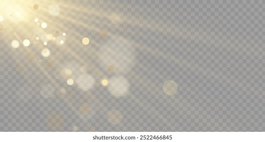 Vector transparent sunlight special lens flare light effect. PNG